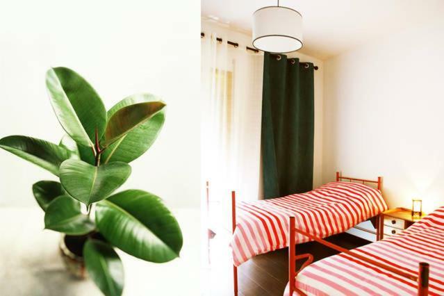 Doze Casas Appartement *